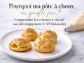 Pâte à choux ratée ? Comprendre les erreurs pour réussir son développement, une fiche technique CAP Pâtisserie.