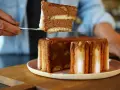 Une part de charlotte tiramisu, aérienne et chocolatée, est prélevée d'un gâteau entier.