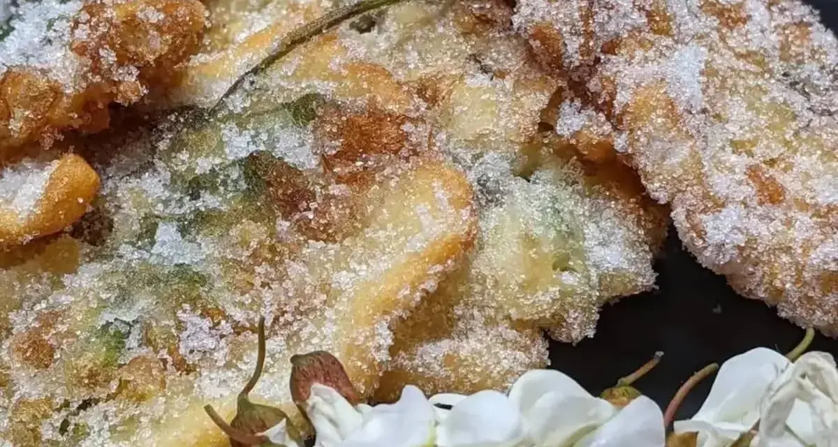 Délicieux beignets d'acacia, croustillants et saupoudrés de sucre, accompagnés de fleurs blanches.