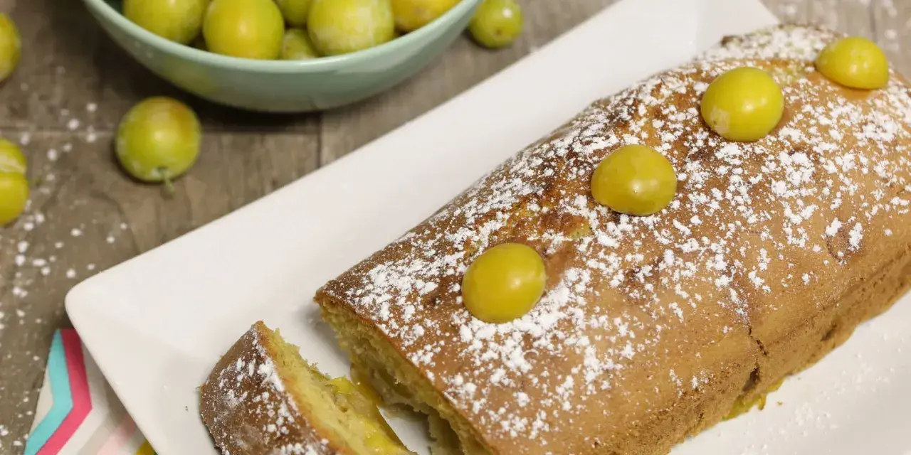 Gâteau lorrain aux mirabelles, saupoudré de sucre glace, avec des mirabelles fraîches sur le dessus et dans une coupelle à côté.