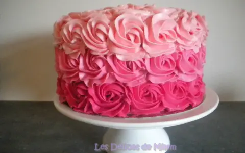 Gâteau rond décoré de roses en crème rose, du plus foncé au plus clair. Un délice visuel !