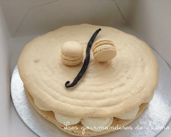 Un délicieux gâteau macaron à la vanille, orné de deux petits macarons et d'une gousse de vanille.