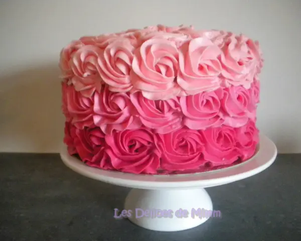 Gâteau rond décoré de roses en crème rose, du plus foncé au plus clair. Un délice visuel !