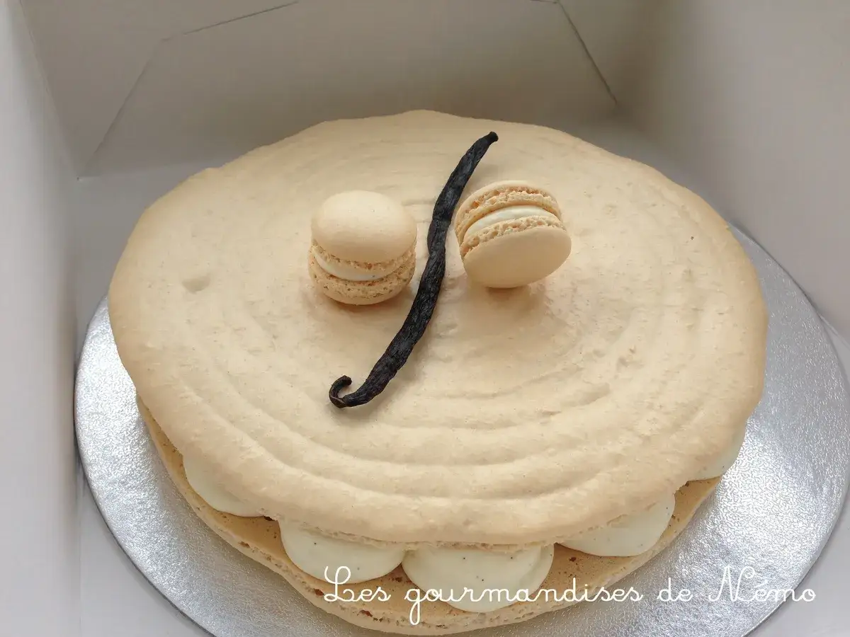 Un d&eacute;licieux g&acirc;teau macaron &agrave; la vanille, orn&eacute; de deux petits macarons et d'une gousse de vanille.
